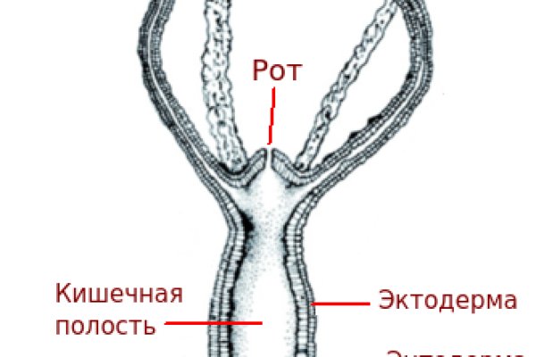 Правила омг омг